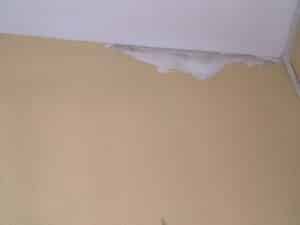 Peinture beige clair écaillée sur un mur, révélant le plâtre et une fissure visible au coin du plafond blanc. Indice de dégât ou d'humidité.